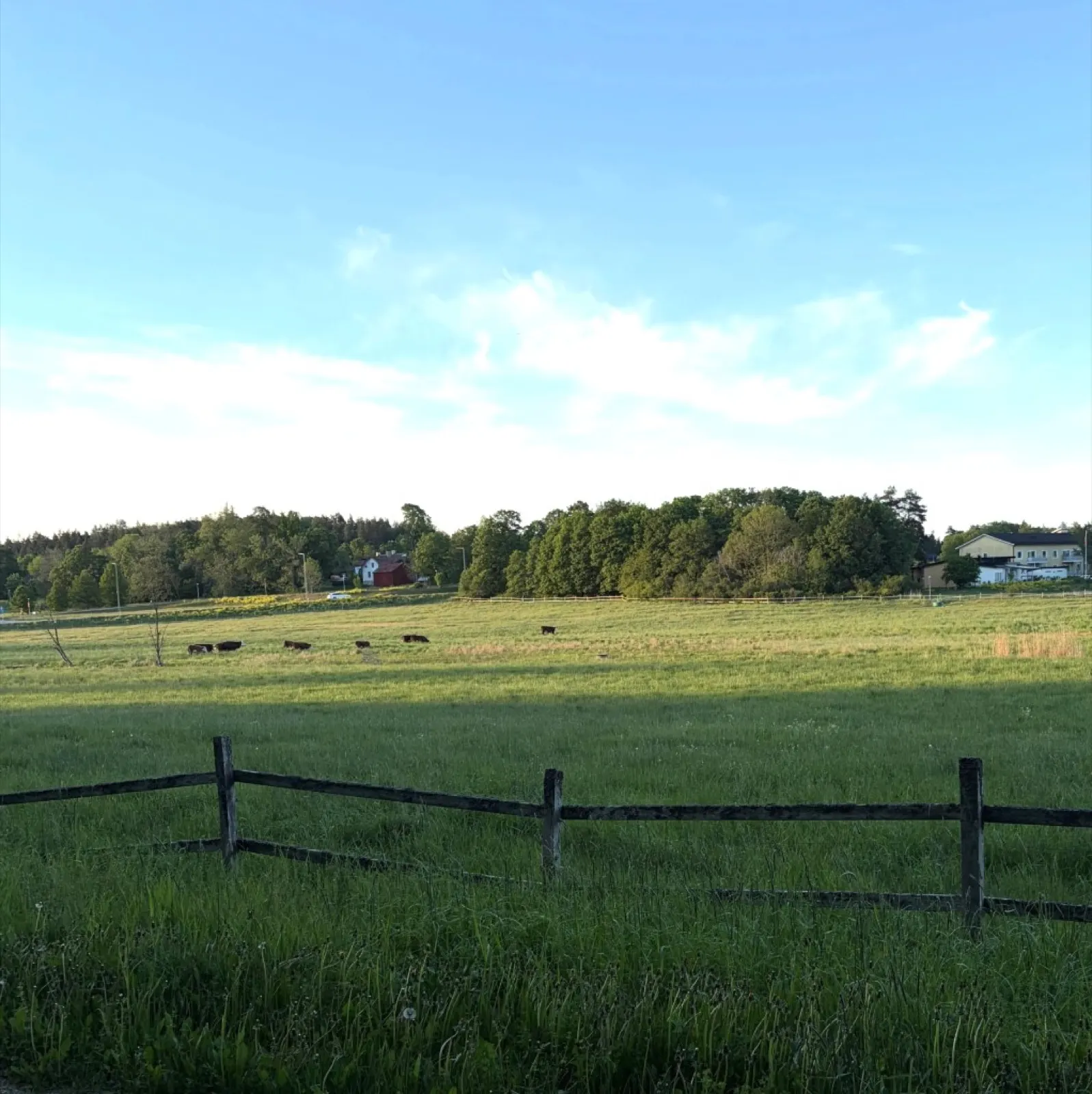 Tarby Gårdsbutik