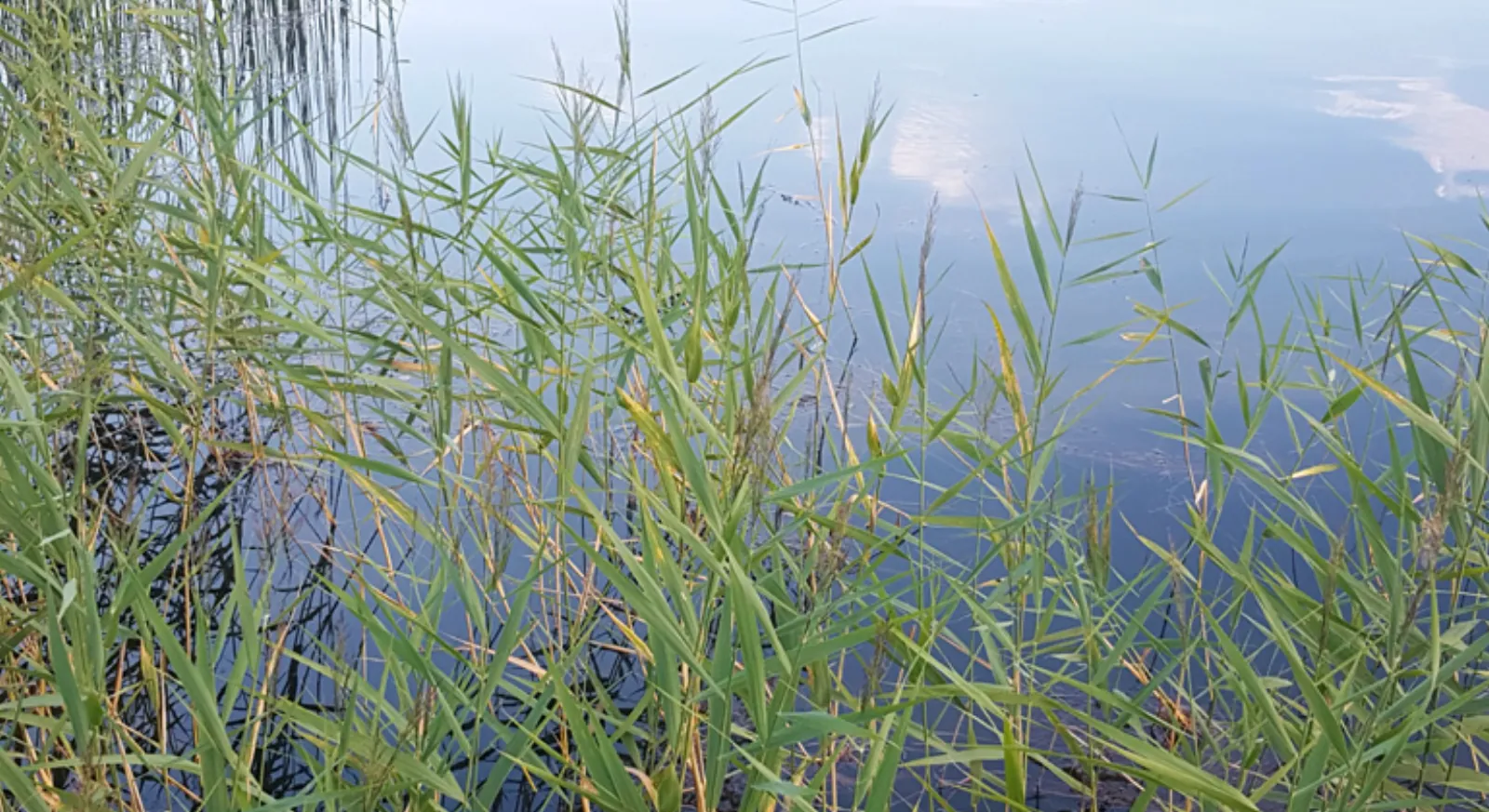 Vallentuna Naturreservat